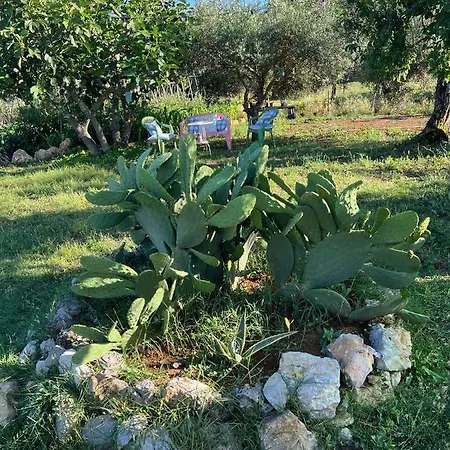 Bed & Breakfast La Delle Idee 3*