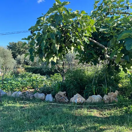 Bed and breakfast La Delle Idee 3*