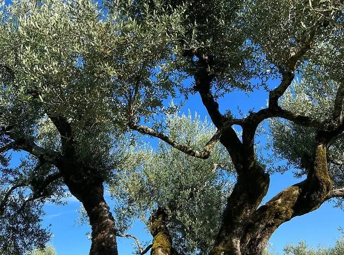 Bed and breakfast La Delle Idee 3*