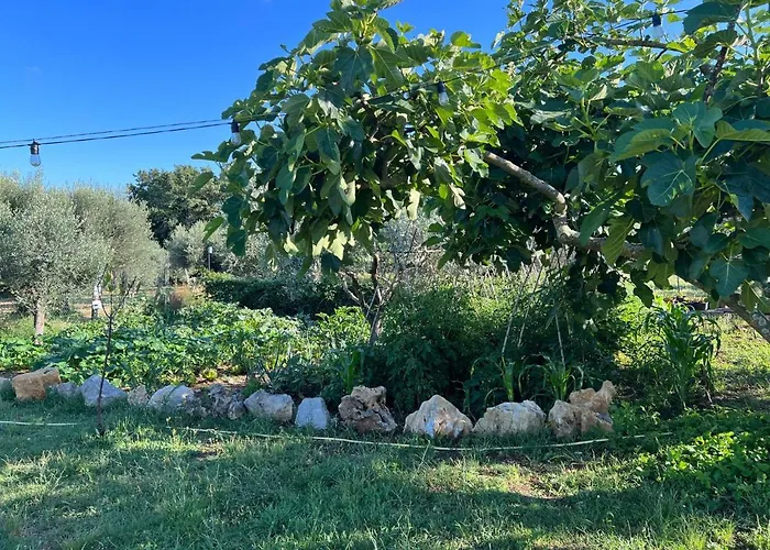 Alojamento de Acomodação e Pequeno-almoço La Delle Idee 3*