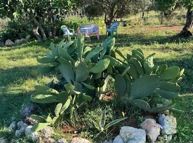 Bed and breakfast La Delle Idee 3*